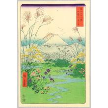 Utagawa Hiroshige: Ohtsuki Plain - Thirty-six Views of Mt.Fuji - Artelino