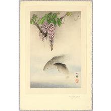 Japanese Print "Carp and Wisteria" by Hanabusa Ippo, 英一蜂 (Mori Ippo After)