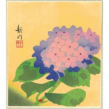 Unknown: Hydrangea - Artelino