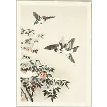 Tsuchiya Koitsu: Sparrows and Snow Covered Nandin - Artelino