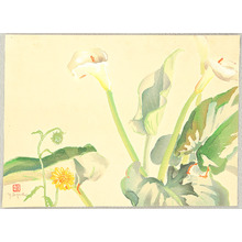 Oguri Yoji: Peace Lily - Artelino
