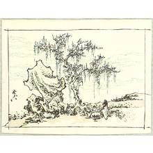 河鍋暁斎: Willow Tree and Chinese Rock- Kyosai Gafu - Artelino