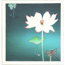 Unknown: Oniyanma Flower - Artelino