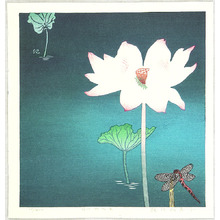 Unknown: Oniyanma Flower - Artelino