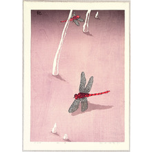 Unknown: Red Dragonfly - Artelino