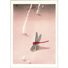 Unknown: Red Dragonfly - Artelino