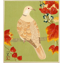Nomura Issei: Pigeon and Red Vine - Artelino