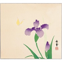 Imao Keinen: Iris and Butterfly - Artelino