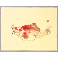 横山崋山: Fanged Red Fish - Anko - Artelino
