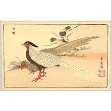 Kitao Masayoshi: Two Exotic Birds - Artelino