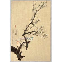 Maruyama Okyo After: Birds and Plum - Artelino