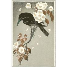 Unknown: Crow and Flowering Tree - Artelino