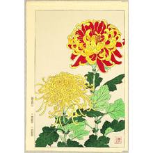 Kawarazaki Shodo: Chrysanthemums - Artelino