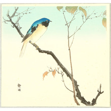 Seiko: Blue Bird on a Branch - Artelino