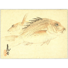 Unknown: Two Bream - Artelino