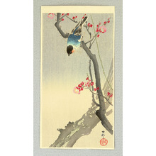 小原古邨: Bullfinch on Plum Tree - Artelino