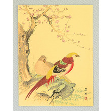 Kikuchi Hobun After: Two Chinese Pheasants - Artelino