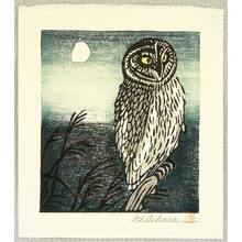 Unknown: Owl - Artelino