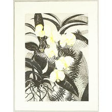 Moji Kiyomi: Orchids - Artelino