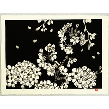 Unknown: Cherry Blossoms - Artelino