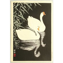 小原古邨: Swan and Reeds - Artelino