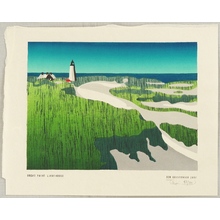 Tom Kristensen: Great Point Lighthouse - Artelino