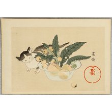Mori Kansai: Kitten and Fruit - Artelino