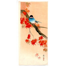 Ito Sozan: Blue bird on maple tree - Artelino