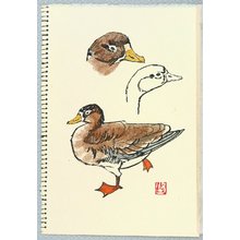 Unknown: Sketch of Birds - Artelino