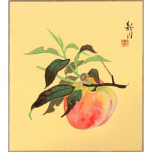 日本版画 "Peach" 由 Unknown, 無款 (null) 创作