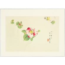 Watanabe Seitei: Camellia - Artelino