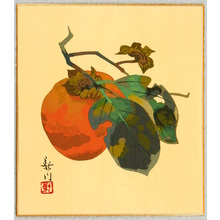 Unknown: Persimmon - Artelino