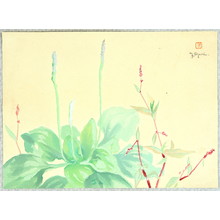 Oguri Yoji: Edible Spring Plants - Artelino