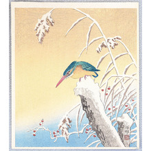 Ohara Koson: Kingfisher - Artelino