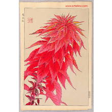 Kawarazaki Shodo: Red Amaranth - Artelino