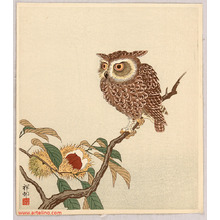 Ohara Koson: Owl and Chestnut - Artelino