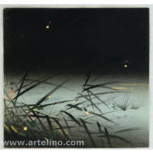 月岡耕漁: Fireflies - Artelino