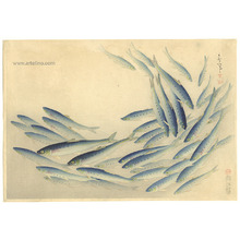 Ono Bakufu: Sardine or Pilchard - Pictures of Fish in Japan Vol.3 - Artelino