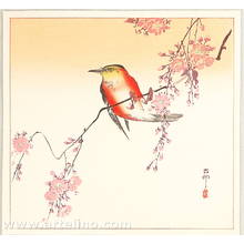 Ohara Koson: Orange Bird and Cherry Blossoms - Artelino