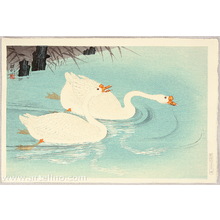 小原古邨: Two Swans - Artelino