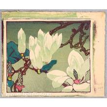 Unknown: Magnolia - Artelino