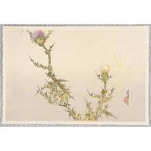 Watanabe Seitei: Birds and Flowers by Seitei - Thistle - Artelino