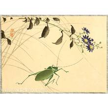 Kikuchi Hobun: Grasshopper and Flowers - Artelino