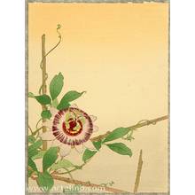 Unknown: Passion Flower - Artelino