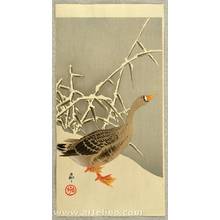 Ohara Koson: Goose and Reeds - Artelino