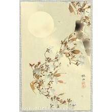 Unknown: Cherry Blossoms in the Moonlight - Artelino