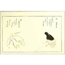 喜多川歌麿: Cormorant and Herons - Myriad Birds Compared in Humorous Verse - Artelino