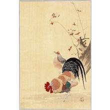 Unknown: Rooster and Hen - Artelino