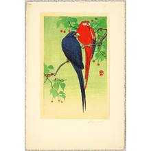 Ohara Koson, 小原古邨 (Ohara Koson)による浮世絵「Two Macaws」