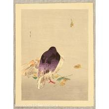 Watanabe Seitei: Pigeons - Artelino